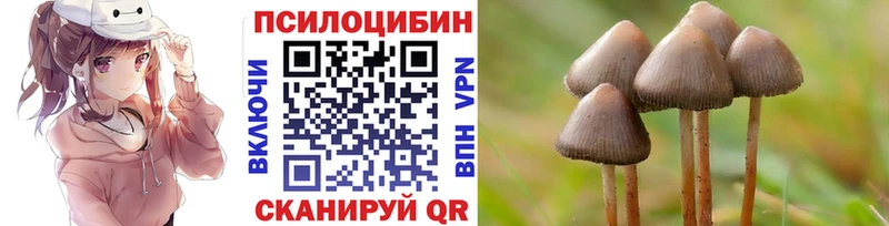Псилоцибиновые грибы ЛСД  Ачинск 