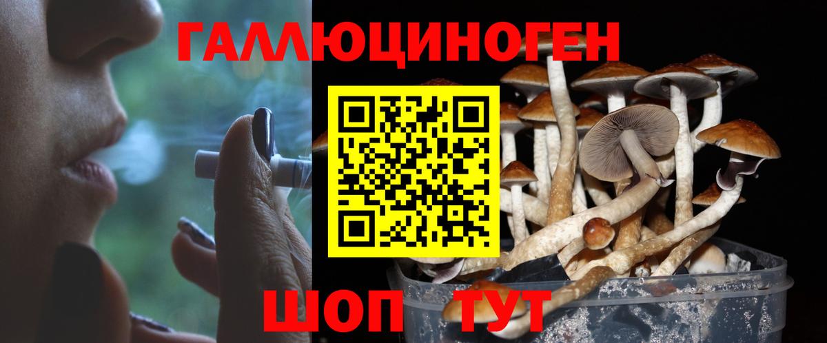 Галлюциногенные грибы MAGIC MUSHROOMS Ачинск